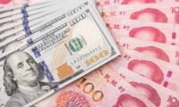 连续20cm涨停 豆包概念龙头火了！业绩持续高增长的优质股曝光